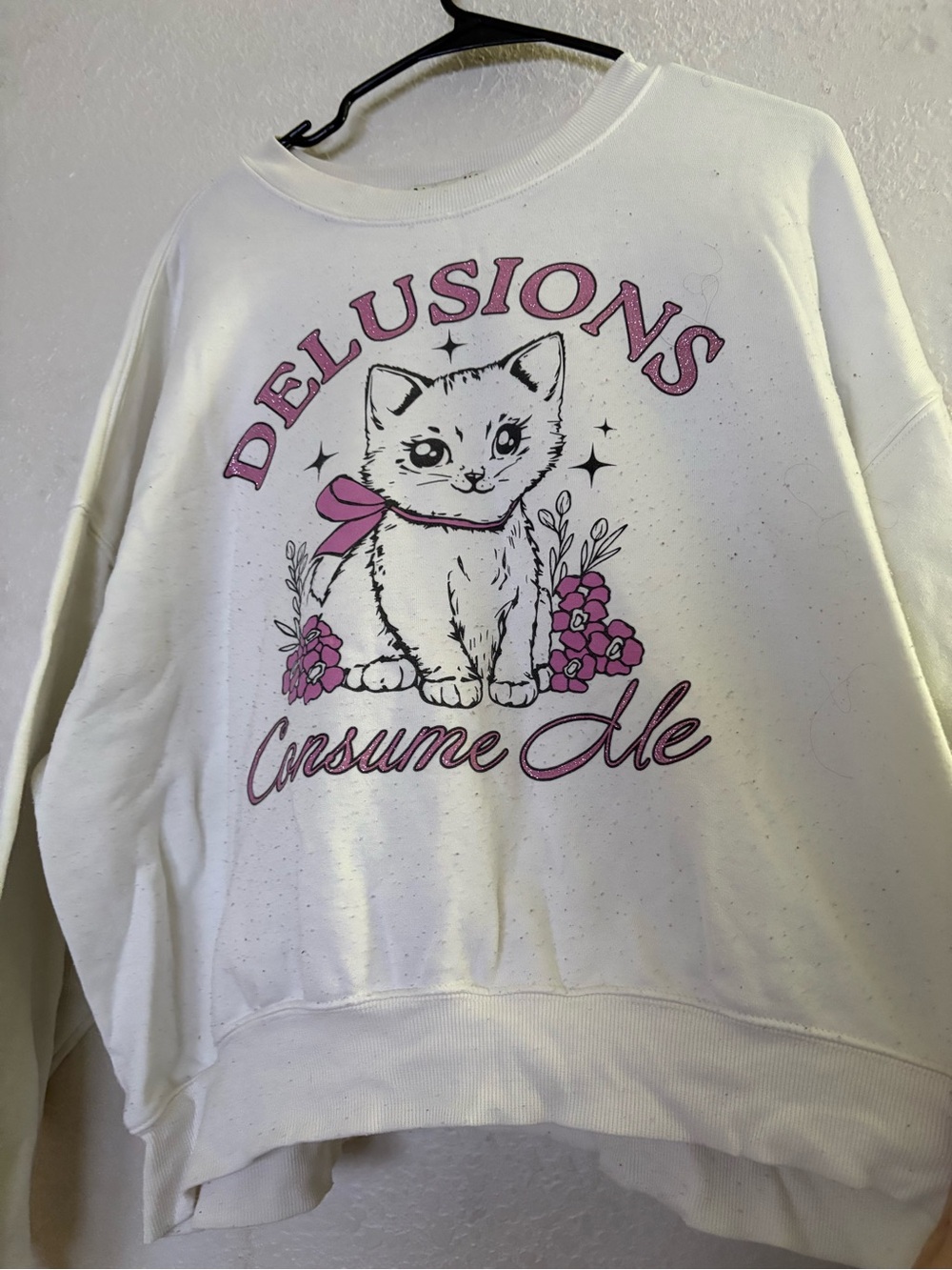 White Cat Graphic Sweatshirt - Delusions Consume Me